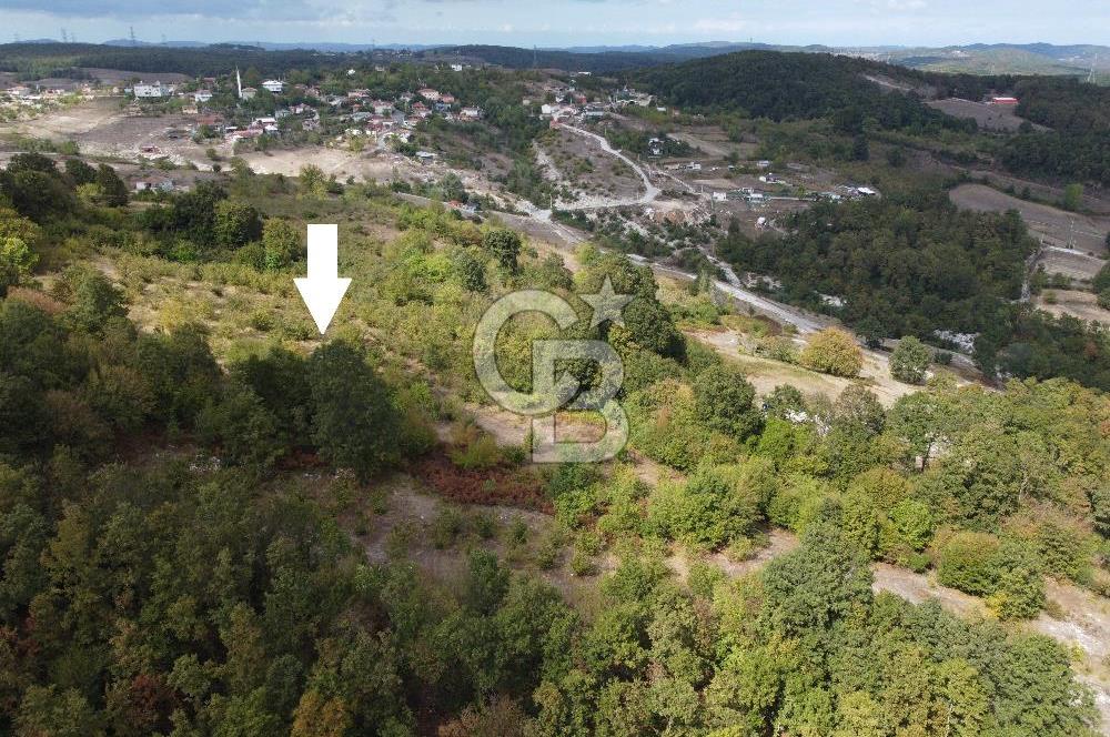 NETA'DAN GEBZE DURAKLI MAHALLESİNDE 5.542m2 SATILIK FINDIKLIK