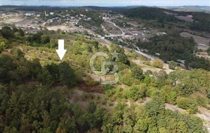 NETA'DAN GEBZE DURAKLI MAHALLESİNDE 5.542m2 SATILIK FINDIKLIK