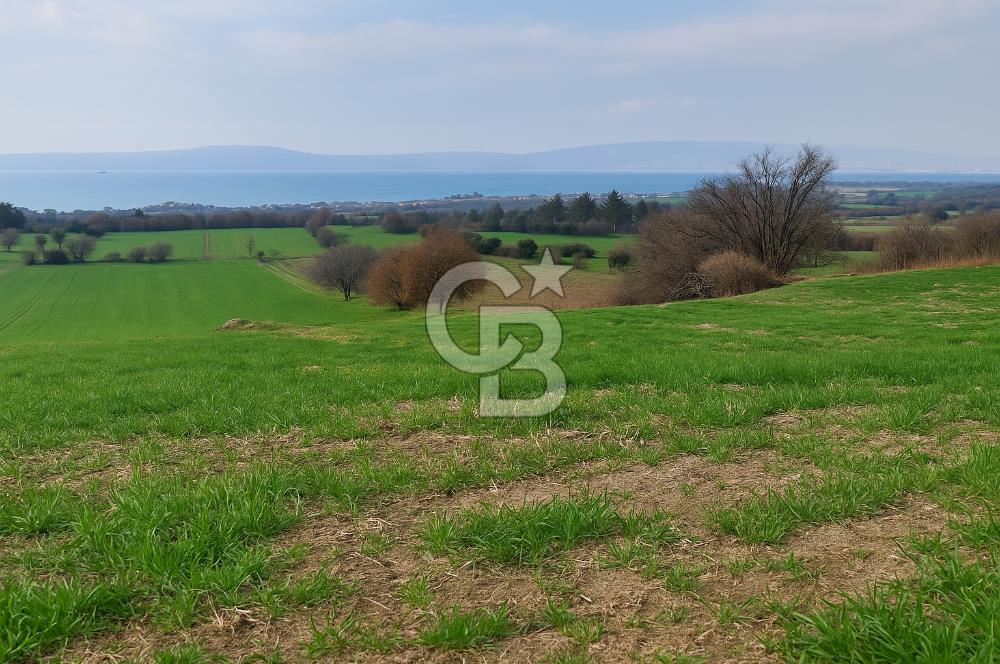 Çanakkale Kangırlı Deniz/Boğaz Manzaralı 13.550m2 Tarla