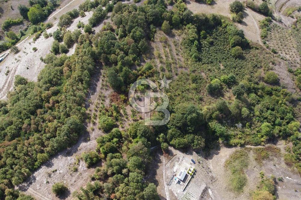 NETA'DAN GEBZE DURAKLI MAHALLESİNDE 5.542m2 SATILIK FINDIKLIK