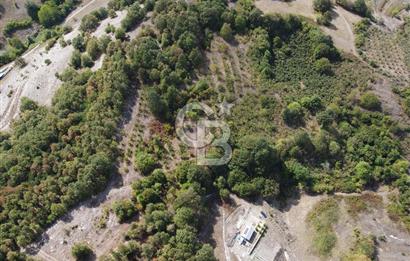 NETA'DAN GEBZE DURAKLI MAHALLESİNDE 5.542m2 SATILIK FINDIKLIK