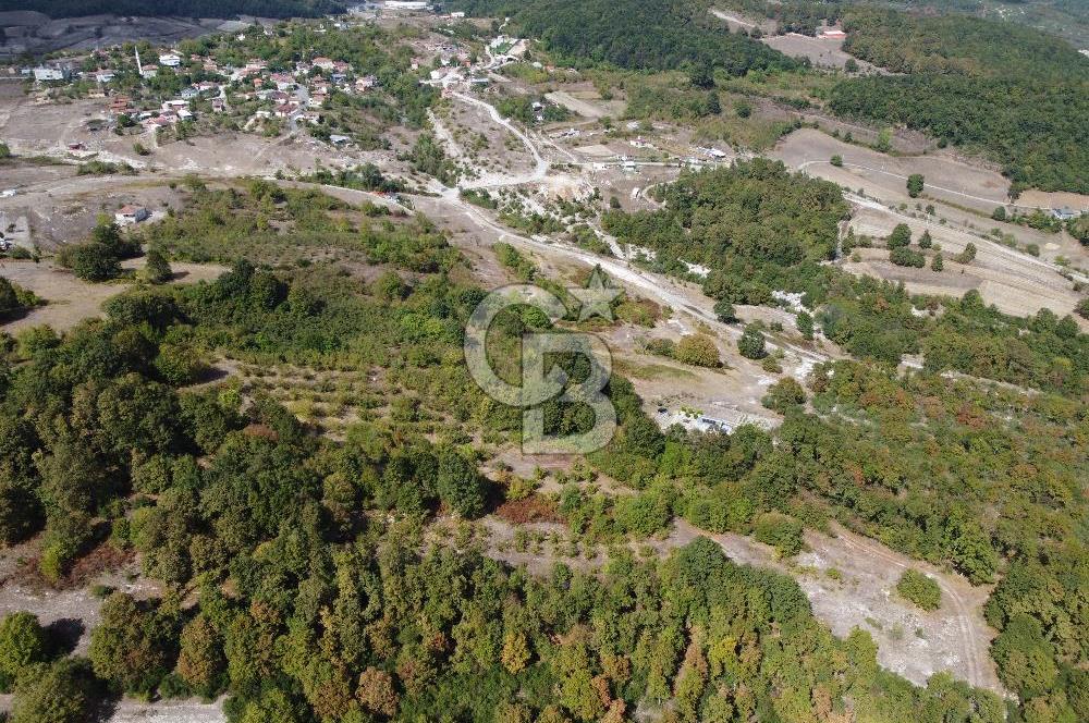 NETA'DAN GEBZE DURAKLI MAHALLESİNDE 5.542m2 SATILIK FINDIKLIK
