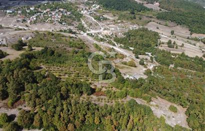 NETA'DAN GEBZE DURAKLI MAHALLESİNDE 5.542m2 SATILIK FINDIKLIK
