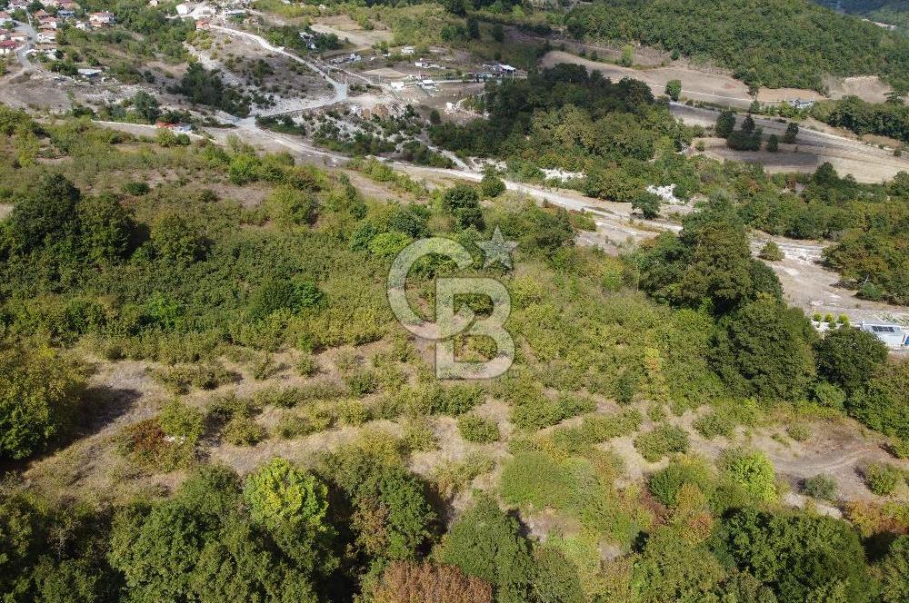 NETA'DAN GEBZE DURAKLI MAHALLESİNDE 5.542m2 SATILIK FINDIKLIK