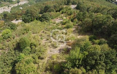 NETA'DAN GEBZE DURAKLI MAHALLESİNDE 5.542m2 SATILIK FINDIKLIK