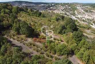 NETA'DAN GEBZE DURAKLI MAHALLESİNDE 5.542m2 SATILIK FINDIKLIK - 9 - 317348