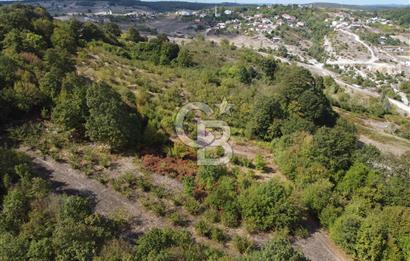 NETA'DAN GEBZE DURAKLI MAHALLESİNDE 5.542m2 SATILIK FINDIKLIK