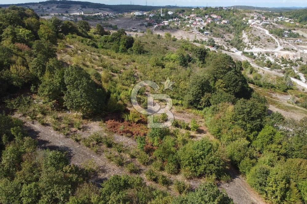 NETA'DAN GEBZE DURAKLI MAHALLESİNDE 5.542m2 SATILIK FINDIKLIK