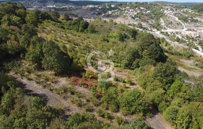 NETA'DAN GEBZE DURAKLI MAHALLESİNDE 5.542m2 SATILIK FINDIKLIK