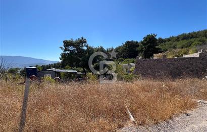 Yakaköy Satılık 320 m2 Bağ