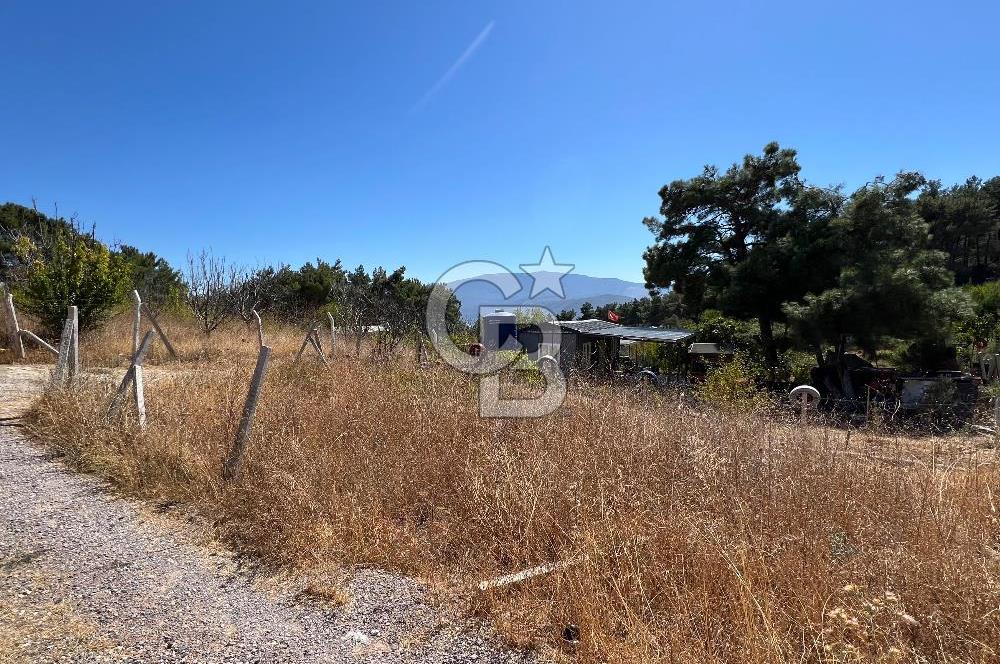 Yakaköy Satılık 320 m2 Bağ