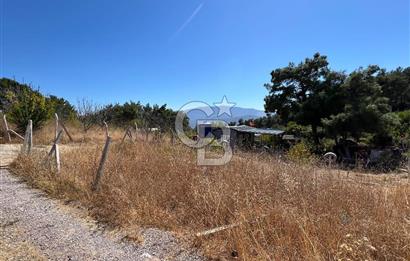 Yakaköy Satılık 320 m2 Bağ