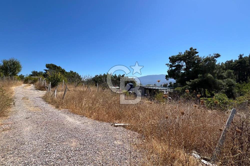 Yakaköy Satılık 320 m2 Bağ