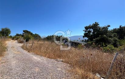 Yakaköy Satılık 320 m2 Bağ