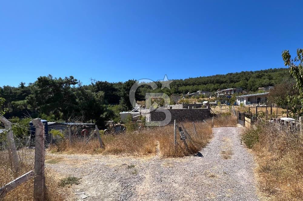 Yakaköy Satılık 320 m2 Bağ