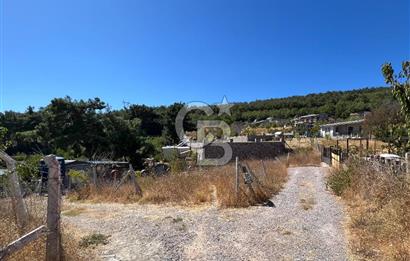 Yakaköy Satılık 320 m2 Bağ