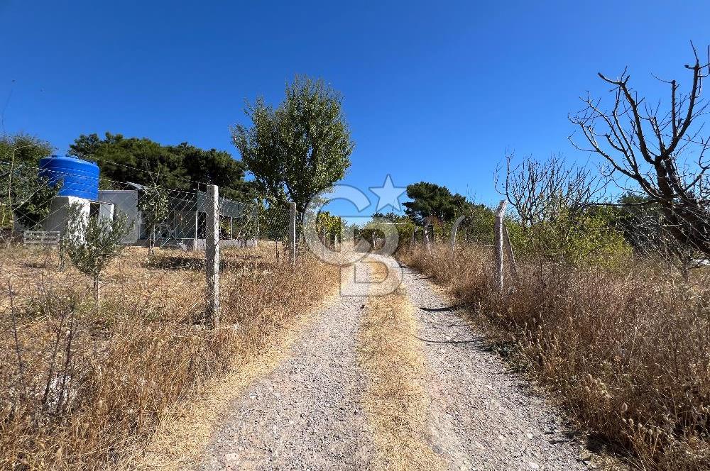 Yakaköy Satılık 320 m2 Bağ