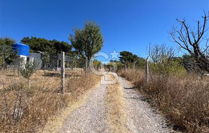 Yakaköy Satılık 320 m2 Bağ