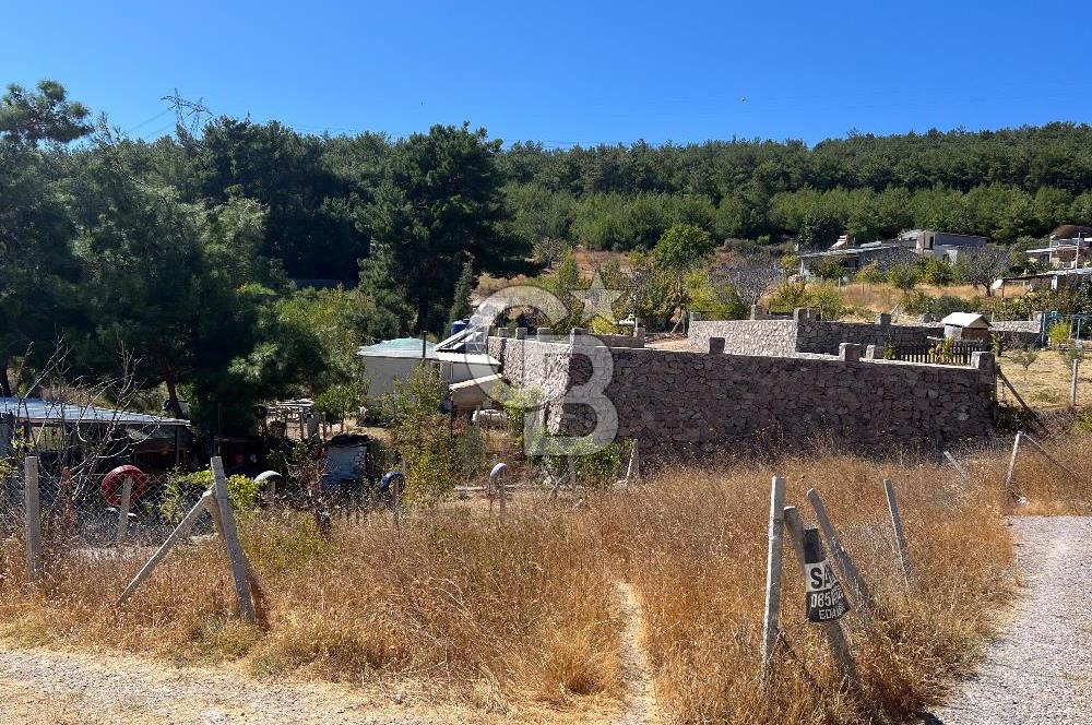 Yakaköy Satılık 320 m2 Bağ