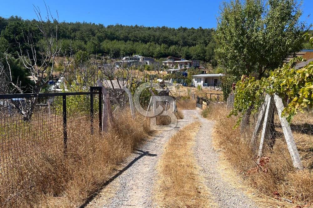 Yakaköy Satılık 320 m2 Bağ