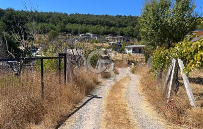 Yakaköy Satılık 320 m2 Bağ