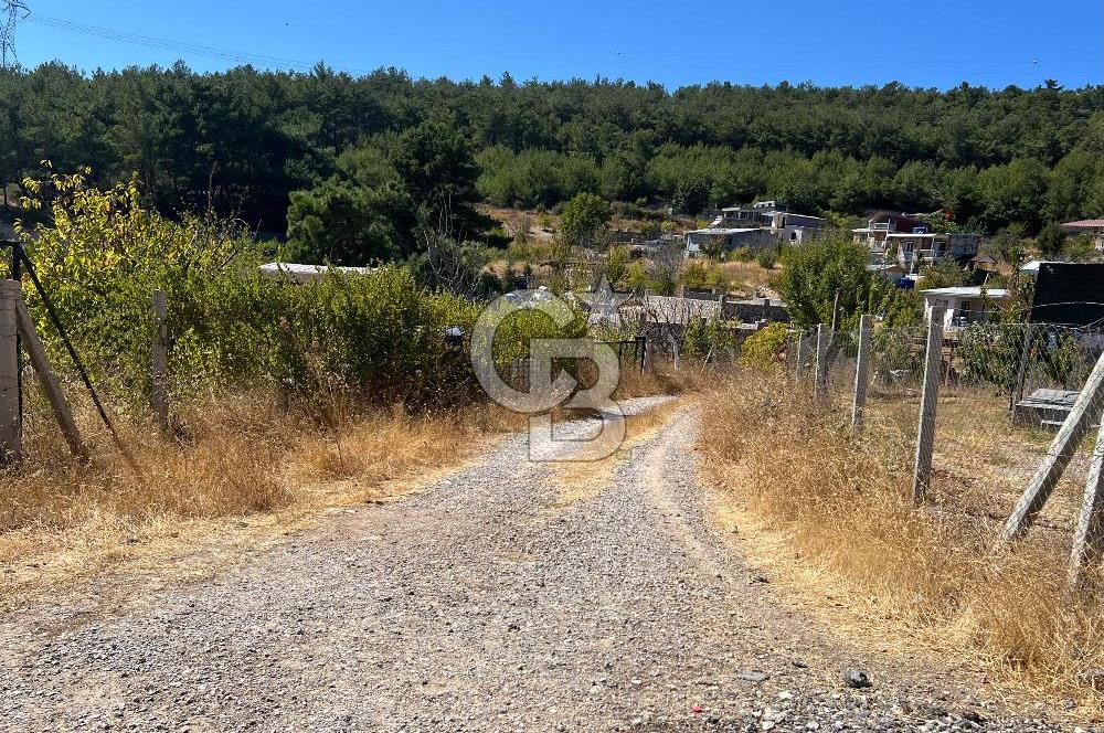 Yakaköy Satılık 320 m2 Bağ