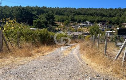 Yakaköy Satılık 320 m2 Bağ