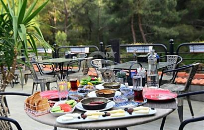 ÇANAKKALE YEŞİLYURT KÖYÜ SATILIK 17 ODALI 600 PARÇA MÜZELİ OTEL