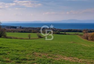 Çanakkale Kangırlı Deniz/Boğaz Manzaralı 13.550m2 Tarla - 9 - 317322