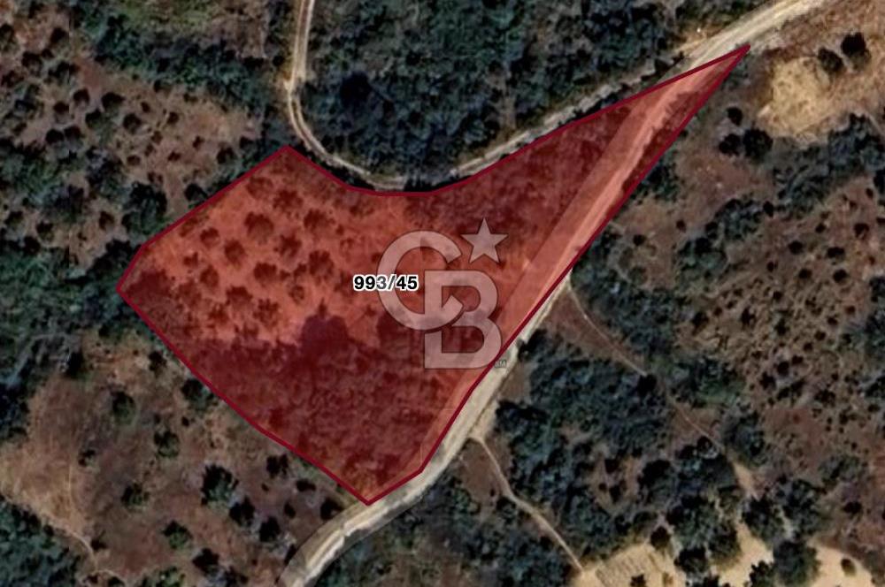 CB BLACK'TAN BURSA YENİŞEHİR'DE SATILIK TARLA