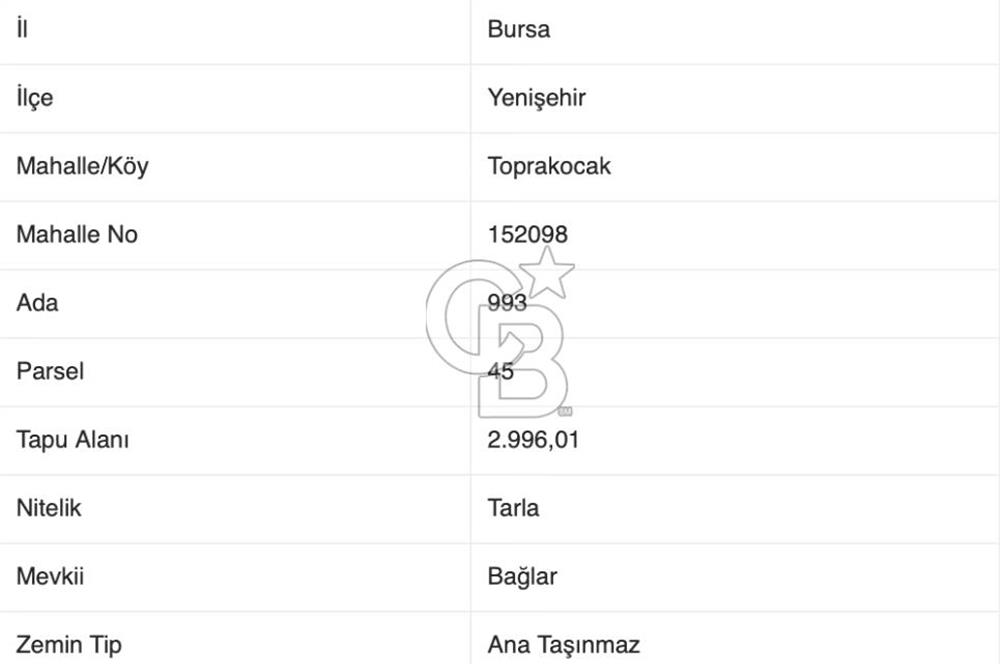 CB BLACK'TAN BURSA YENİŞEHİR'DE SATILIK TARLA