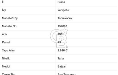 CB BLACK'TAN BURSA YENİŞEHİR'DE SATILIK TARLA