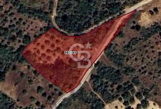 CB BLACK'TAN BURSA YENİŞEHİR'DE SATILIK TARLA - 8 - 317383