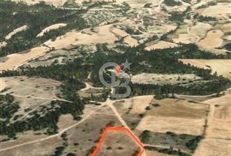 Değer Kazanan Bölgede Yol Kenarı Fırsat Parsel !!! - 5 - 317396