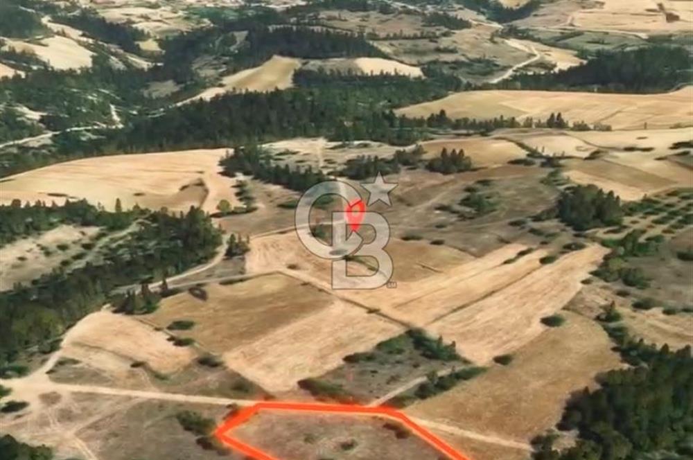 Değer Kazanan Bölgede Yol Kenarı Fırsat Parsel !!!