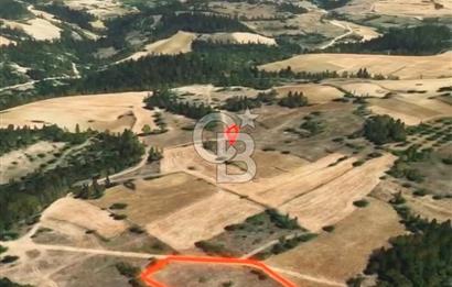 Değer Kazanan Bölgede Yol Kenarı Fırsat Parsel !!!