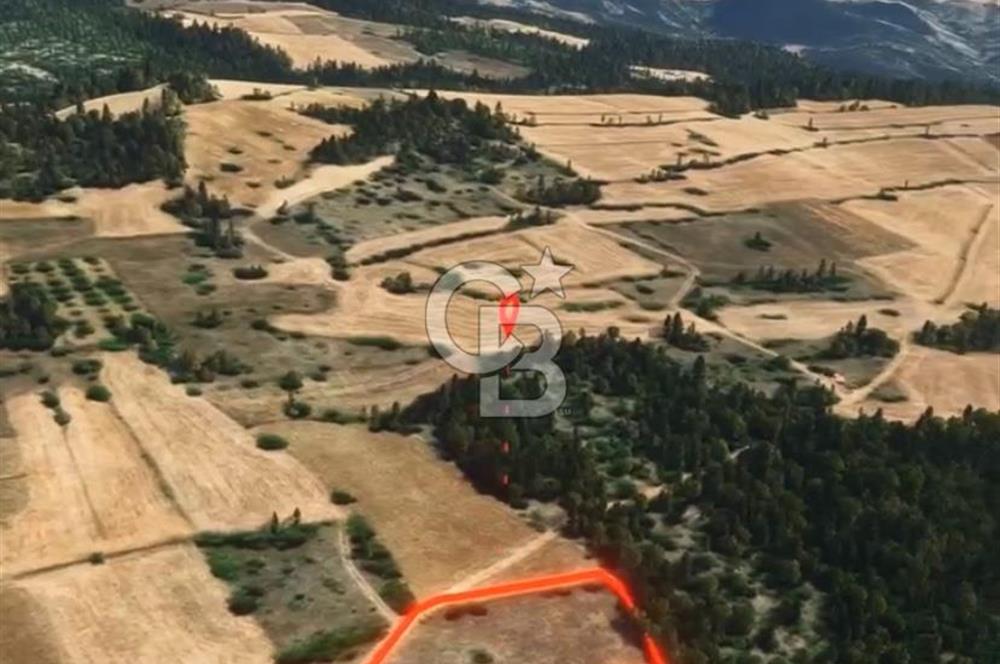 Değer Kazanan Bölgede Yol Kenarı Fırsat Parsel !!!