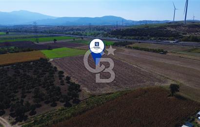 ALİAĞA YALI MAHALLESİ'NDE YATIRIMA UYGUN SATILIK 13500 m2 TARLA