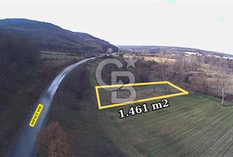 Asfalt Yola Cephe, Elektrik-Su olan! 1461 m² Müstakil Tarla - 1 - 317426