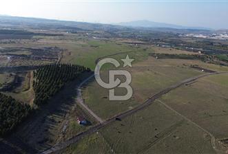 GÜZELHİSARDA 4793m2 YOLA CEPHE TARLA - 4 - 317454