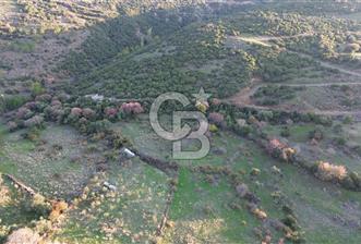 ÇITAKTA 2061m2 SATILIK İMAR SINIRINDA TARLA - 3 - 317456