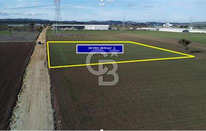 BİGA GÖKTEPE SATILIK TARLA