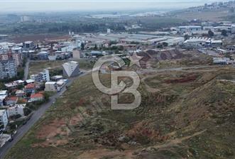 ASARLIKTA BİR DAİRE GARANTİLİ 145m2 ARSA - 1 - 317433
