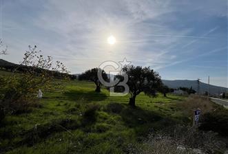 Yenifoça Girişinde Satılık Tarla - 1 - 317435