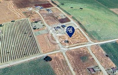 ŞARKÖY İSTİKLAL'DE BANKA KREDİSİ İLE VİLLA İMARLI ARSA