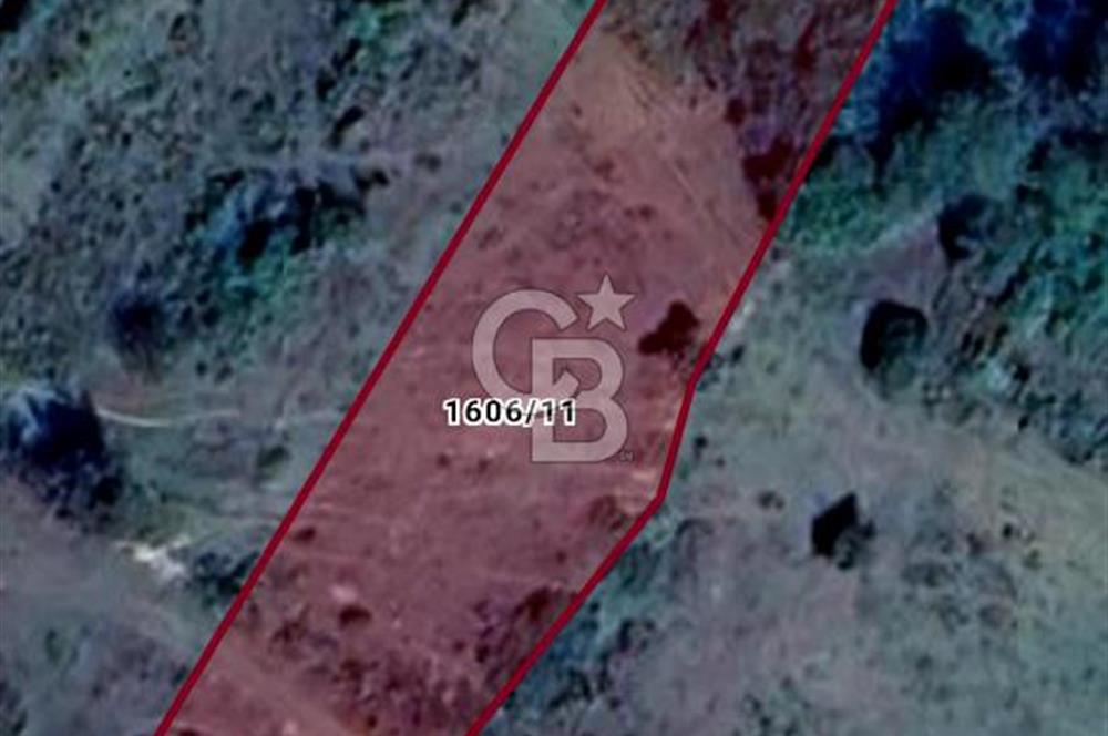 Şile Kervansaray Mahallesinde Satılık Tarla