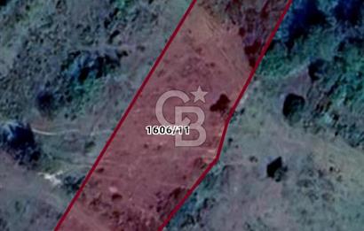 Şile Kervansaray Mahallesinde Satılık Tarla