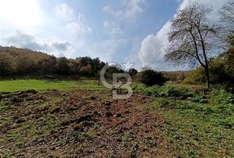 Şile Kervansaray Mahallesinde Satılık Tarla - 4 - 317398