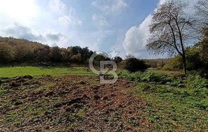 Şile Kervansaray Mahallesinde Satılık Tarla