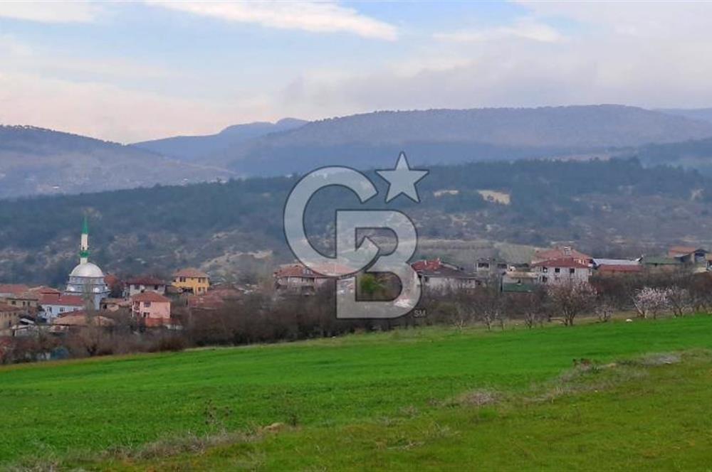 Geyve Yatırımlık Tarla! 8.243 m²,Köy Merkezine 100 metre